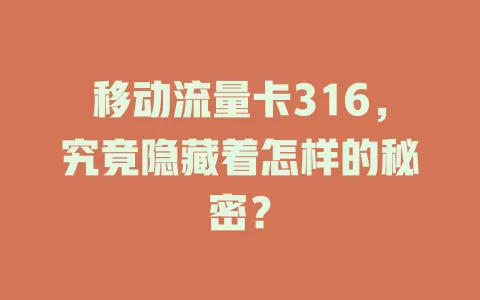 移动流量卡316，究竟隐藏着怎样的秘密？