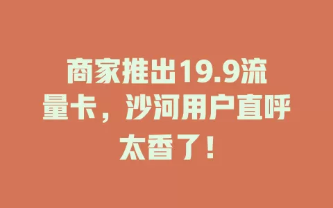 商家推出19.9流量卡，沙河用户直呼太香了！