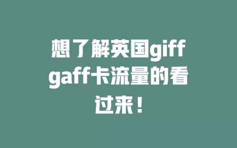 想了解英国giffgaff卡流量的看过来！