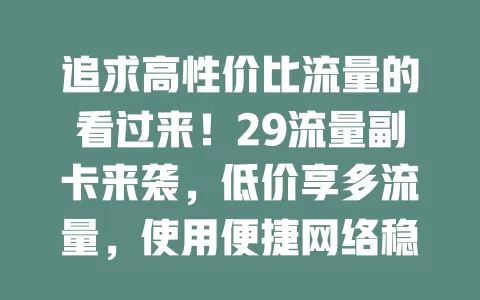 追求高性价比流量的看过来！29流量副卡来袭，低价享多流量，使用便捷网络稳，畅玩数字生活无忧