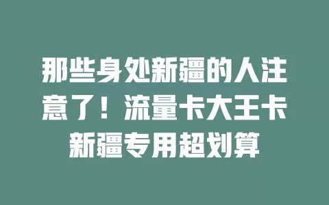 那些身处新疆的人注意了！流量卡大王卡新疆专用超划算