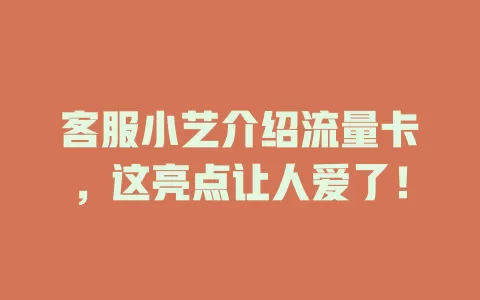 客服小艺介绍流量卡，这亮点让人爱了！