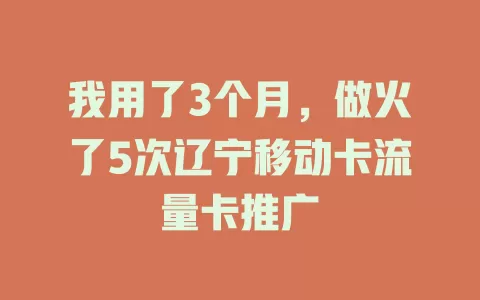 我用了3个月，做火了5次辽宁移动卡流量卡推广