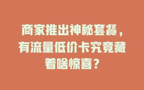 商家推出神秘套餐，有流量低价卡究竟藏着啥惊喜？