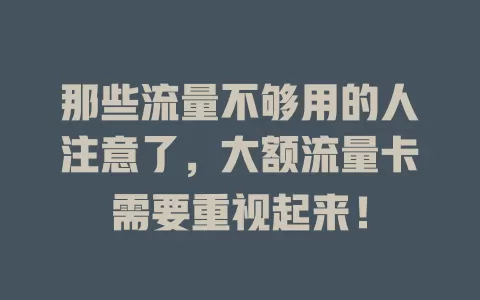 那些流量不够用的人注意了，大额流量卡需要重视起来！