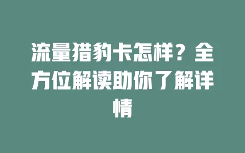 流量猎豹卡怎样？全方位解读助你了解详情