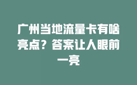 广州当地流量卡有啥亮点？答案让人眼前一亮