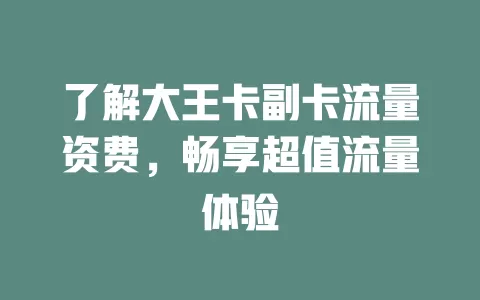 了解大王卡副卡流量资费，畅享超值流量体验