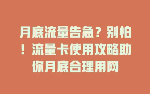月底流量告急？别怕！流量卡使用攻略助你月底合理用网