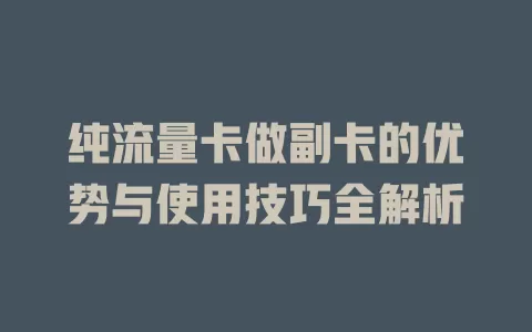 纯流量卡做副卡的优势与使用技巧全解析