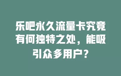 乐吧永久流量卡究竟有何独特之处，能吸引众多用户？