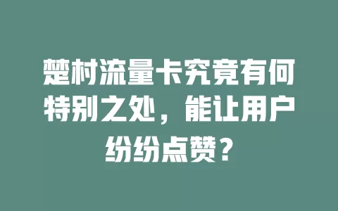 楚村流量卡究竟有何特别之处，能让用户纷纷点赞？