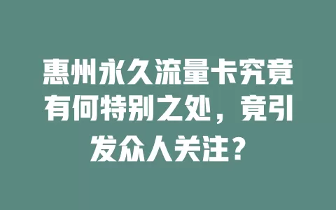 惠州永久流量卡究竟有何特别之处，竟引发众人关注？