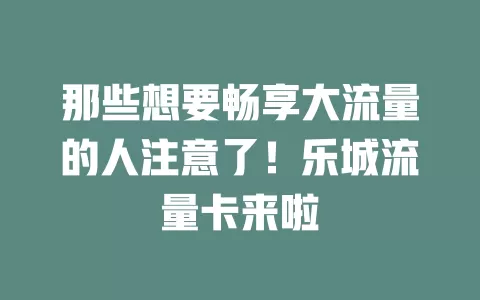 那些想要畅享大流量的人注意了！乐城流量卡来啦