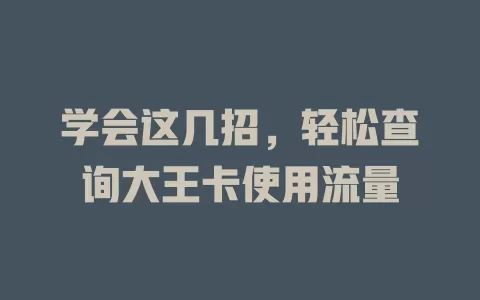 学会这几招，轻松查询大王卡使用流量