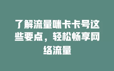 了解流量咪卡卡号这些要点，轻松畅享网络流量