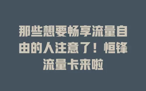 那些想要畅享流量自由的人注意了！恒锋流量卡来啦