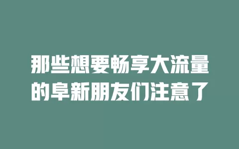 那些想要畅享大流量的阜新朋友们注意了