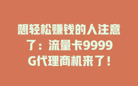 想轻松赚钱的人注意了：流量卡9999G代理商机来了！