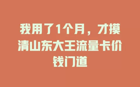 我用了1个月，才摸清山东大王流量卡价钱门道