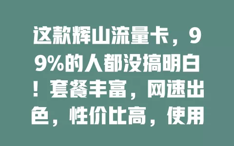 这款辉山流量卡，99%的人都没搞明白！套餐丰富，网速出色，性价比高，使用有要点，是优质流量解决方案，值得考虑