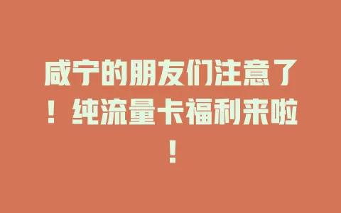咸宁的朋友们注意了！纯流量卡福利来啦！