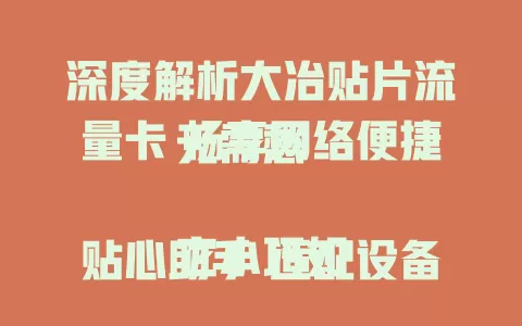 深度解析大冶贴片流量卡 畅享网络便捷无需愁

它小巧如贴心助手 适配设备稳定支撑上网
无需繁琐设置 插入即用省心 流量足告别焦虑
信号出色 复杂环境也能良好连接 室内户外皆稳上