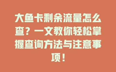 大鱼卡剩余流量怎么查？一文教你轻松掌握查询方法与注意事项！