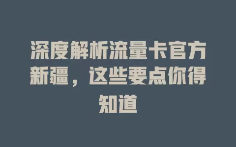 深度解析流量卡官方新疆，这些要点你得知道