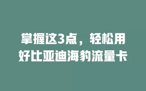 掌握这3点，轻松用好比亚迪海豹流量卡