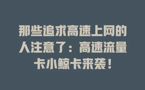 那些追求高速上网的人注意了：高速流量卡小鲸卡来袭！