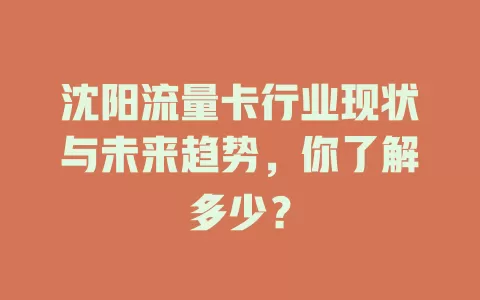 沈阳流量卡行业现状与未来趋势，你了解多少？