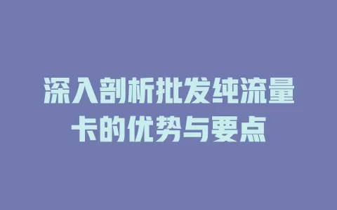 深入剖析批发纯流量卡的优势与要点
