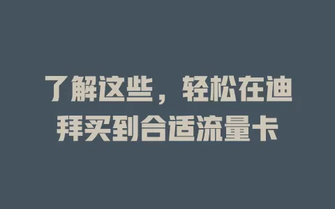 了解这些，轻松在迪拜买到合适流量卡