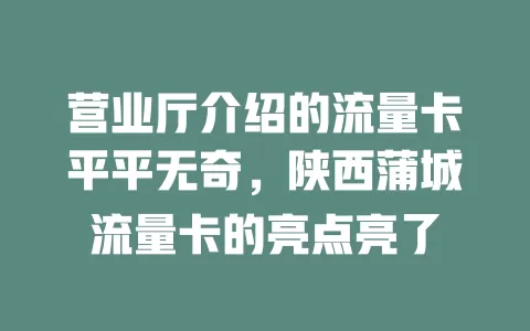营业厅介绍的流量卡平平无奇，陕西蒲城流量卡的亮点亮了