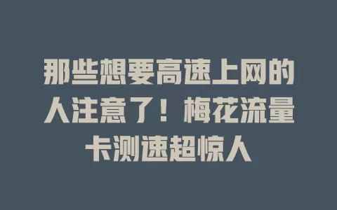 那些想要高速上网的人注意了！梅花流量卡测速超惊人