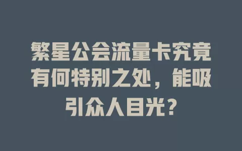 繁星公会流量卡究竟有何特别之处，能吸引众人目光？