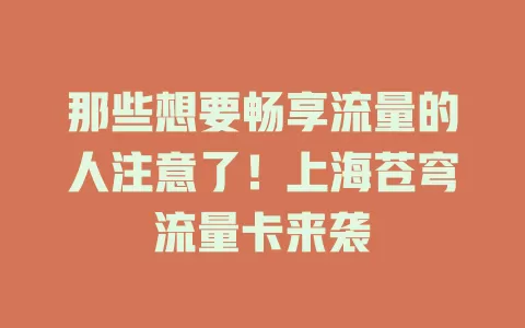 那些想要畅享流量的人注意了！上海苍穹流量卡来袭