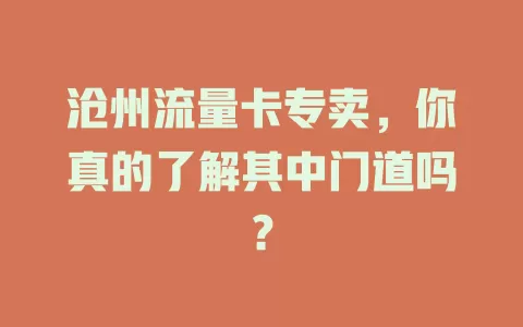 沧州流量卡专卖，你真的了解其中门道吗？