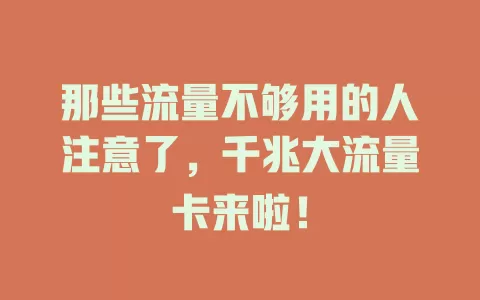 那些流量不够用的人注意了，千兆大流量卡来啦！