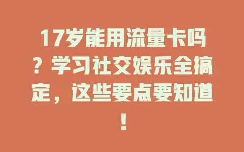 17岁能用流量卡吗？学习社交娱乐全搞定，这些要点要知道！