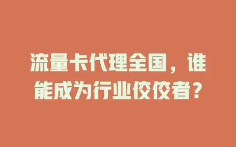 流量卡代理全国，谁能成为行业佼佼者？