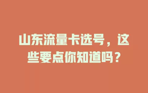 山东流量卡选号，这些要点你知道吗？