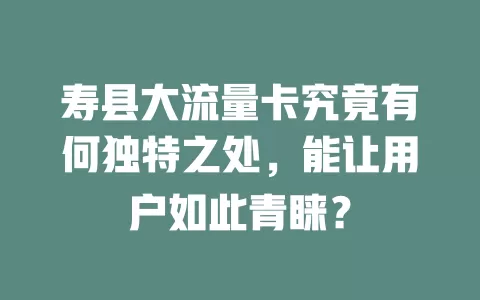 寿县大流量卡究竟有何独特之处，能让用户如此青睐？