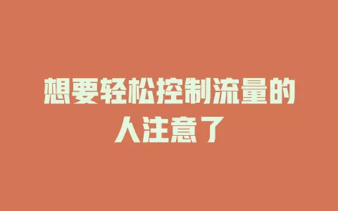 想要轻松控制流量的人注意了
