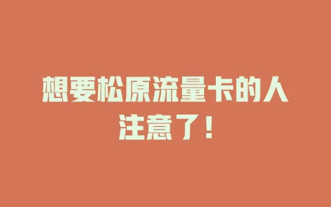 想要松原流量卡的人注意了！
