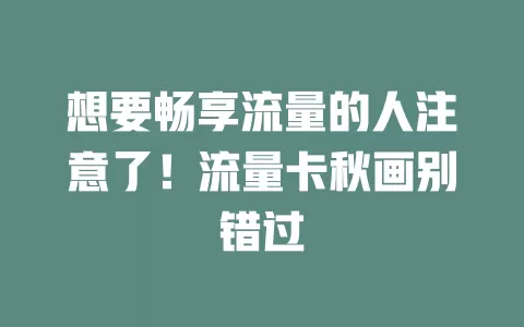 想要畅享流量的人注意了！流量卡秋画别错过