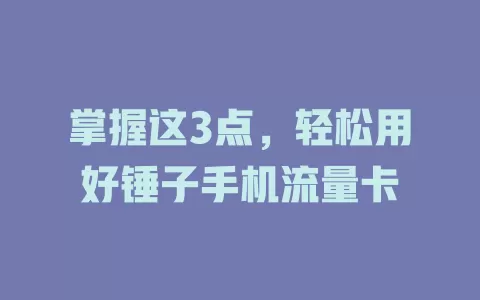 掌握这3点，轻松用好锤子手机流量卡