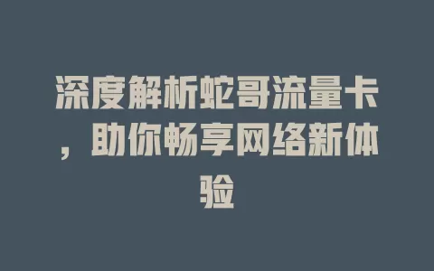 深度解析蛇哥流量卡，助你畅享网络新体验