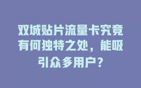 双城贴片流量卡究竟有何独特之处，能吸引众多用户？
